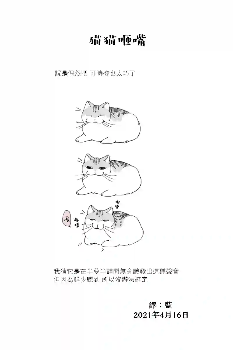 关于养猫我一直是新手第60话