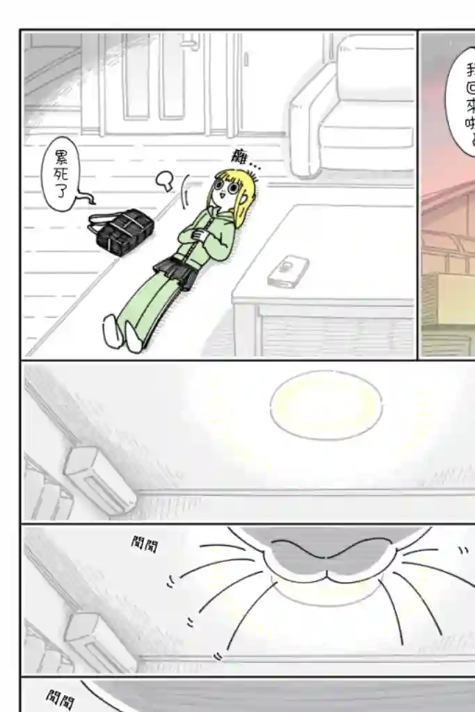 关于养猫我一直是新手第61话
