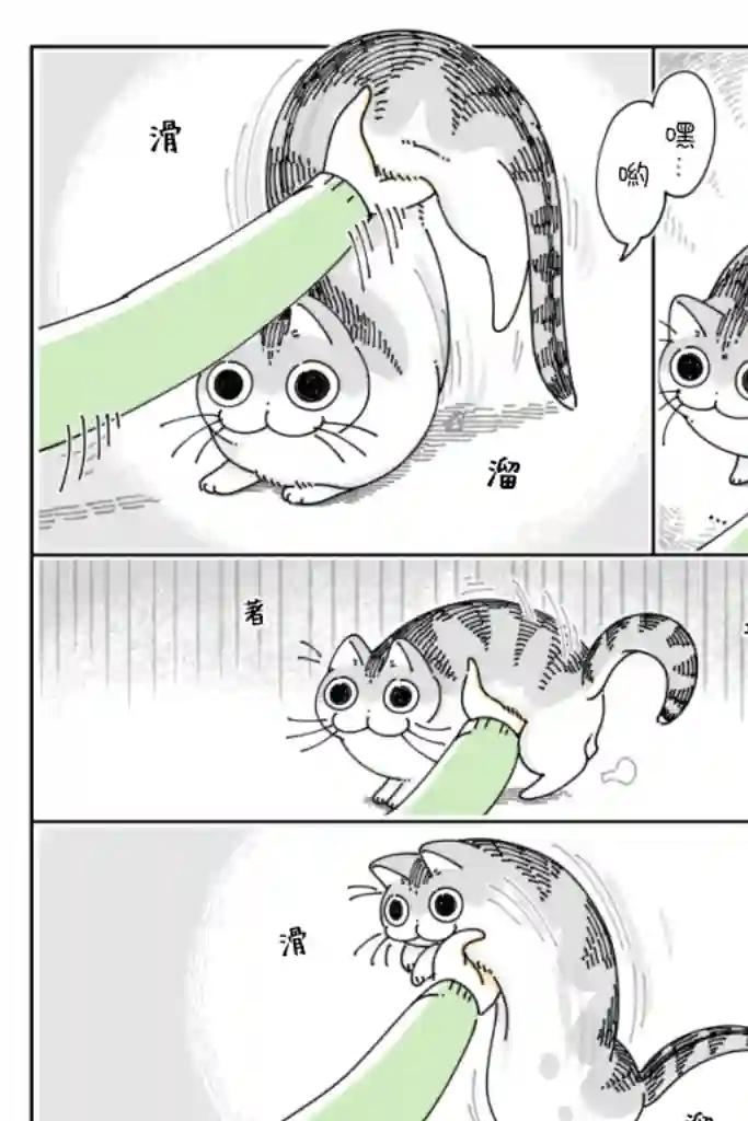 关于养猫我一直是新手第61话