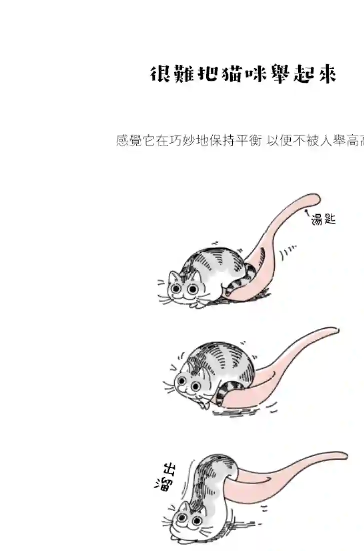 关于养猫我一直是新手第61话