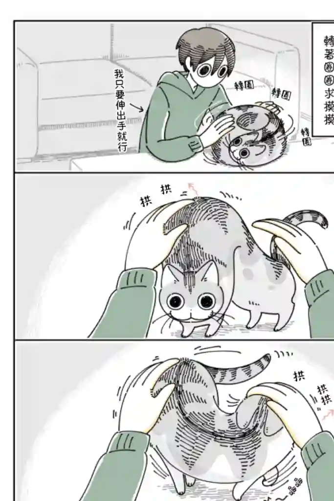 关于养猫我一直是新手第62话