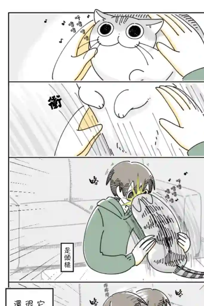关于养猫我一直是新手第62话