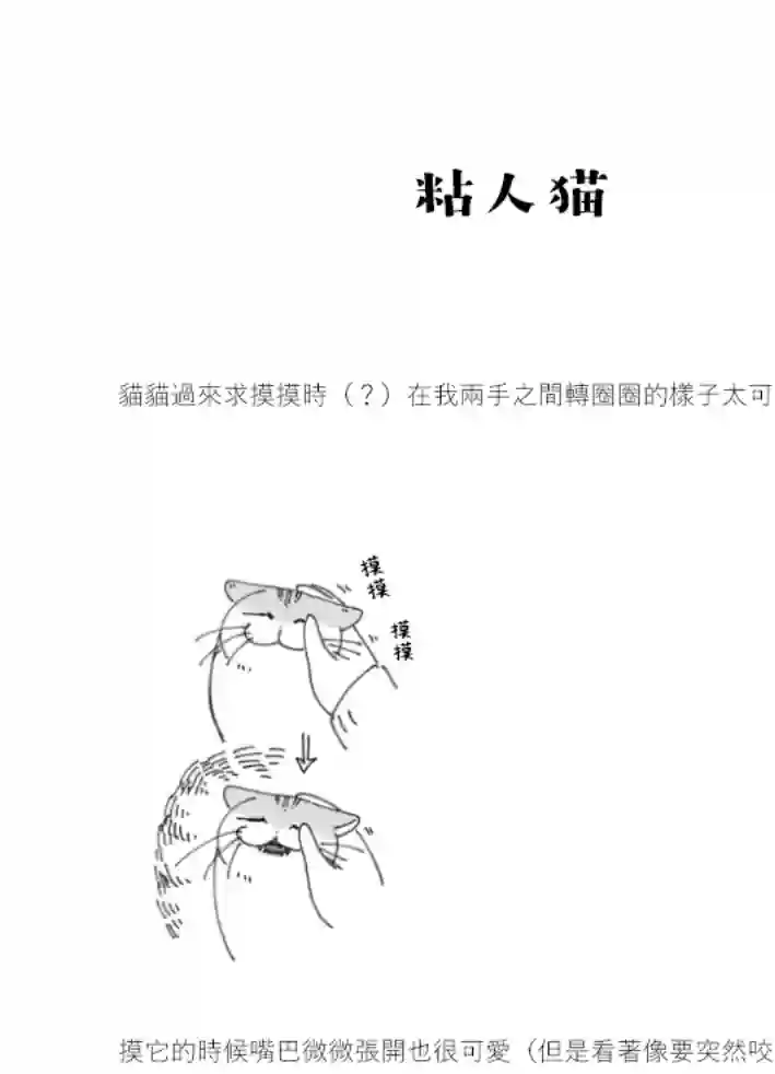 关于养猫我一直是新手第62话