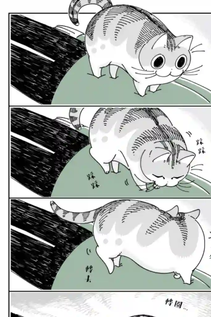 关于养猫我一直是新手第63话