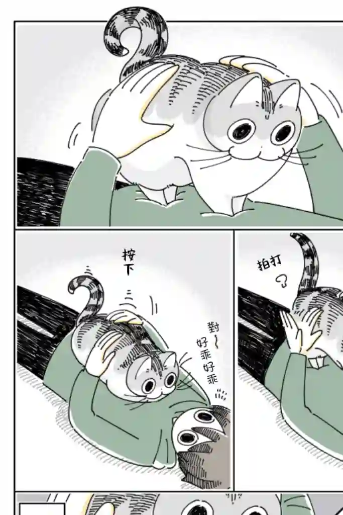 关于养猫我一直是新手第63话