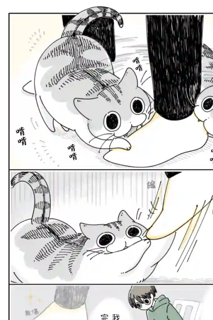 关于养猫我一直是新手第64话