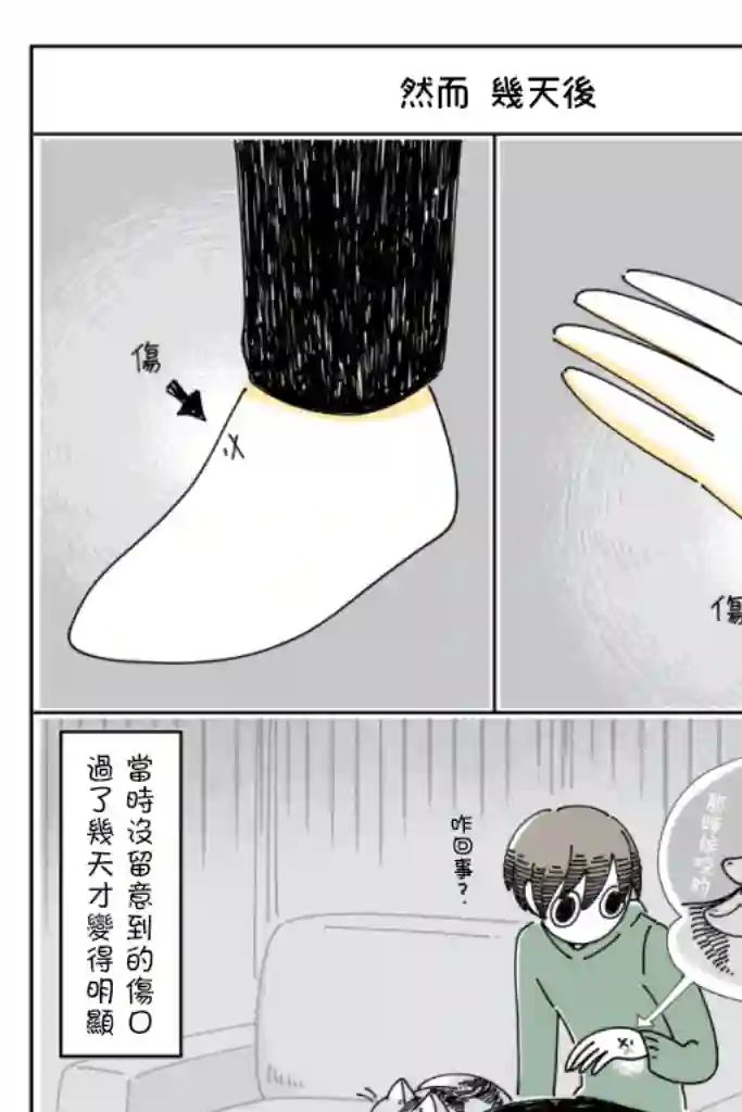 关于养猫我一直是新手第64话