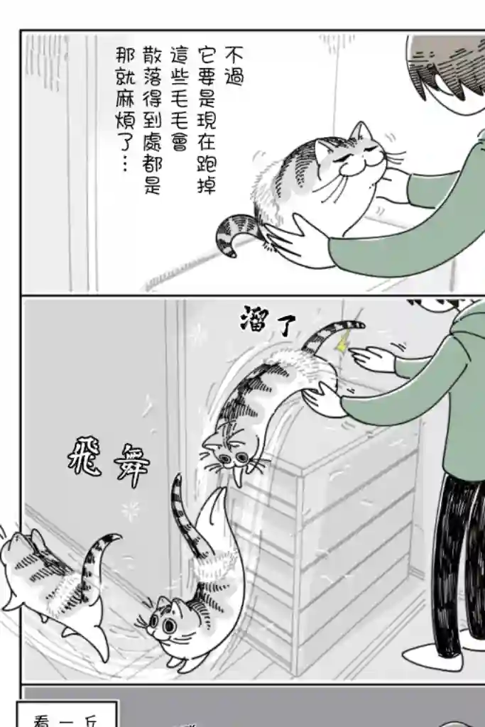 关于养猫我一直是新手第65话