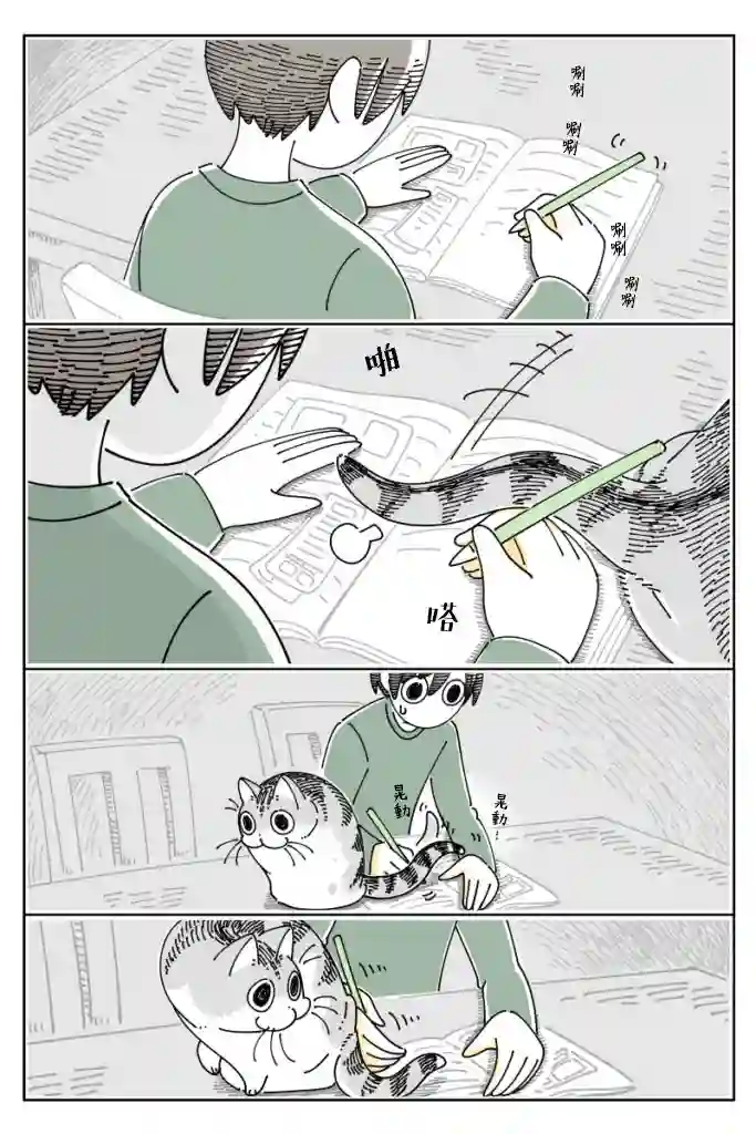 关于养猫我一直是新手第66话