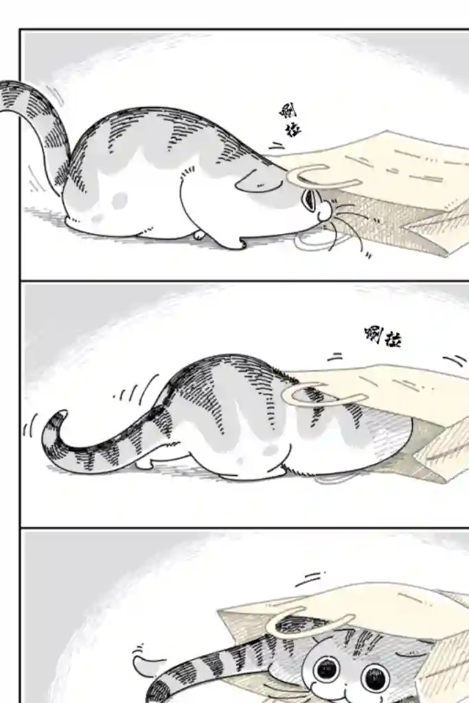 关于养猫我一直是新手第67话