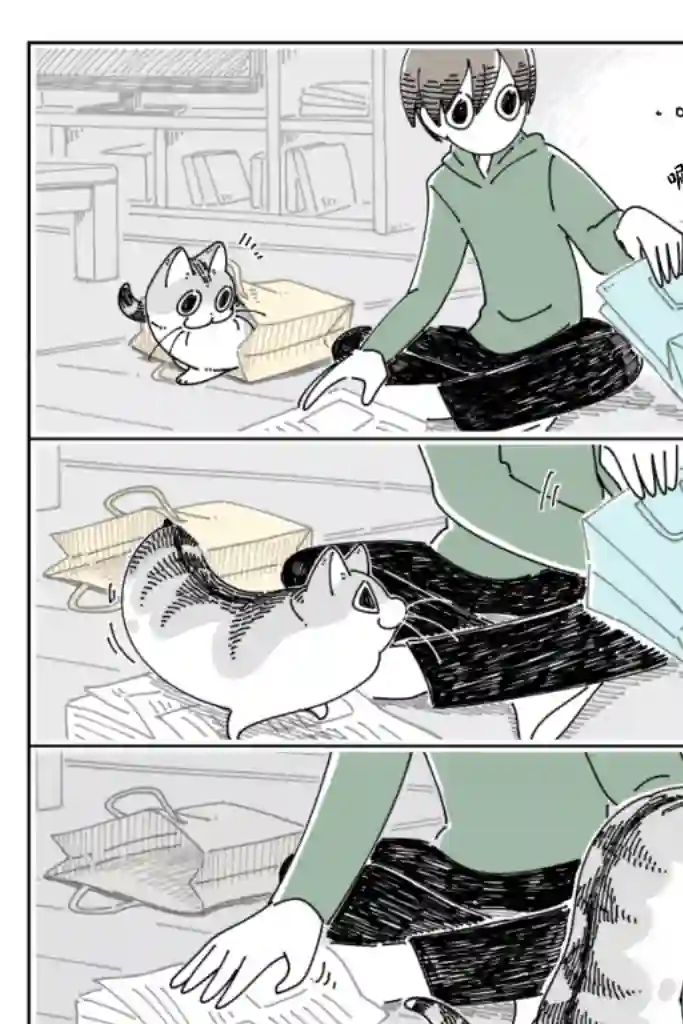 关于养猫我一直是新手第67话