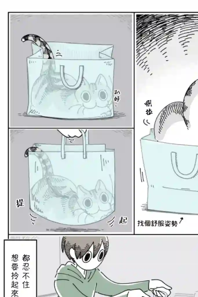 关于养猫我一直是新手第67话