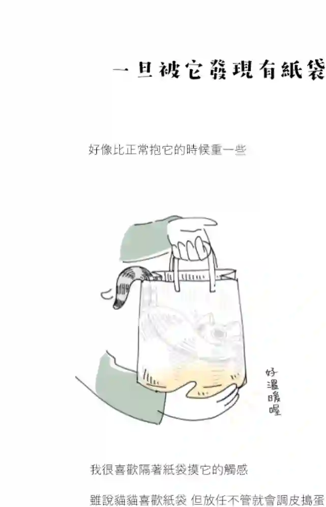 关于养猫我一直是新手第67话