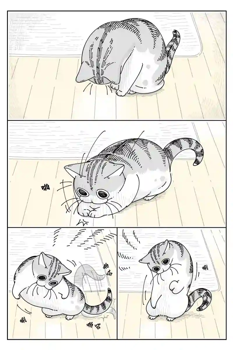 关于养猫我一直是新手第68话