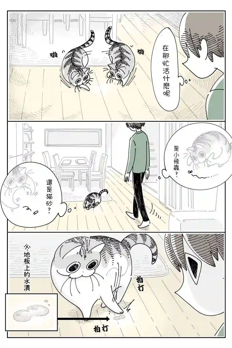 关于养猫我一直是新手第68话