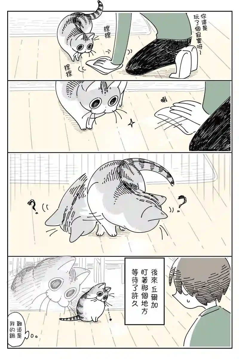关于养猫我一直是新手第68话