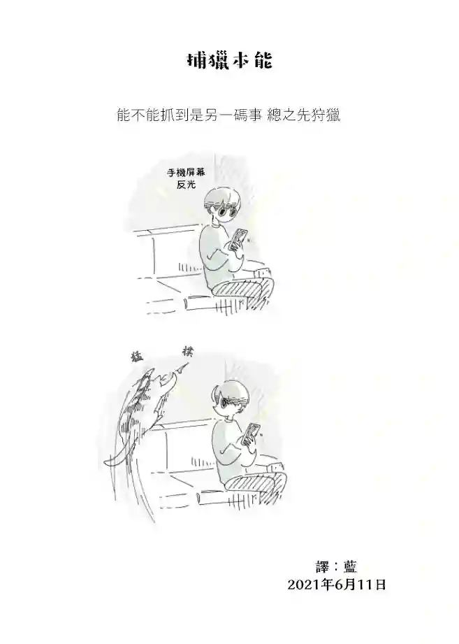 关于养猫我一直是新手第68话