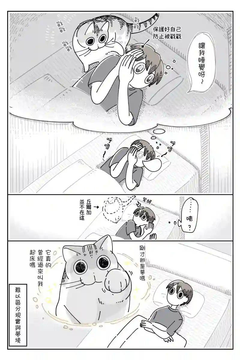 关于养猫我一直是新手第69话