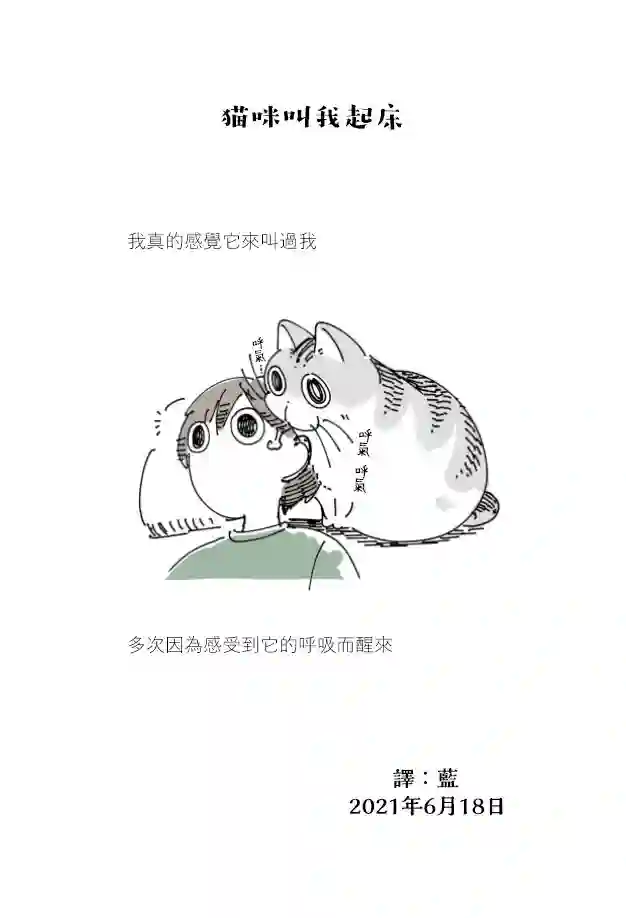 关于养猫我一直是新手第69话