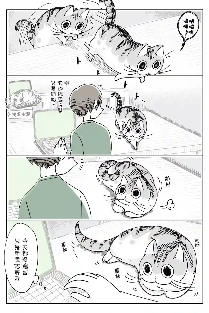 关于养猫我一直是新手第70话