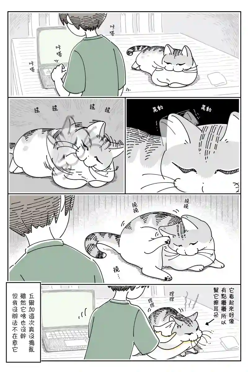 关于养猫我一直是新手第70话