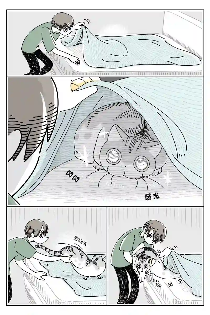 关于养猫我一直是新手第71话