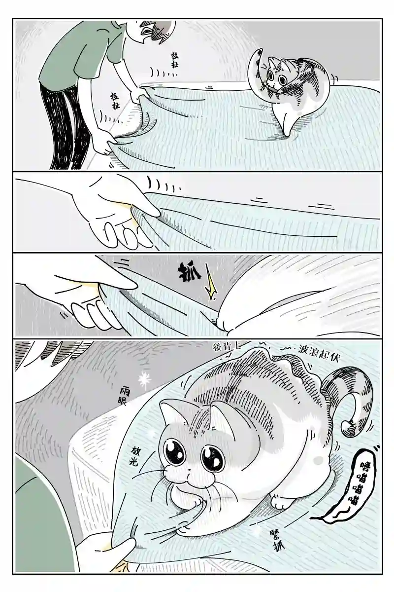 关于养猫我一直是新手第71话