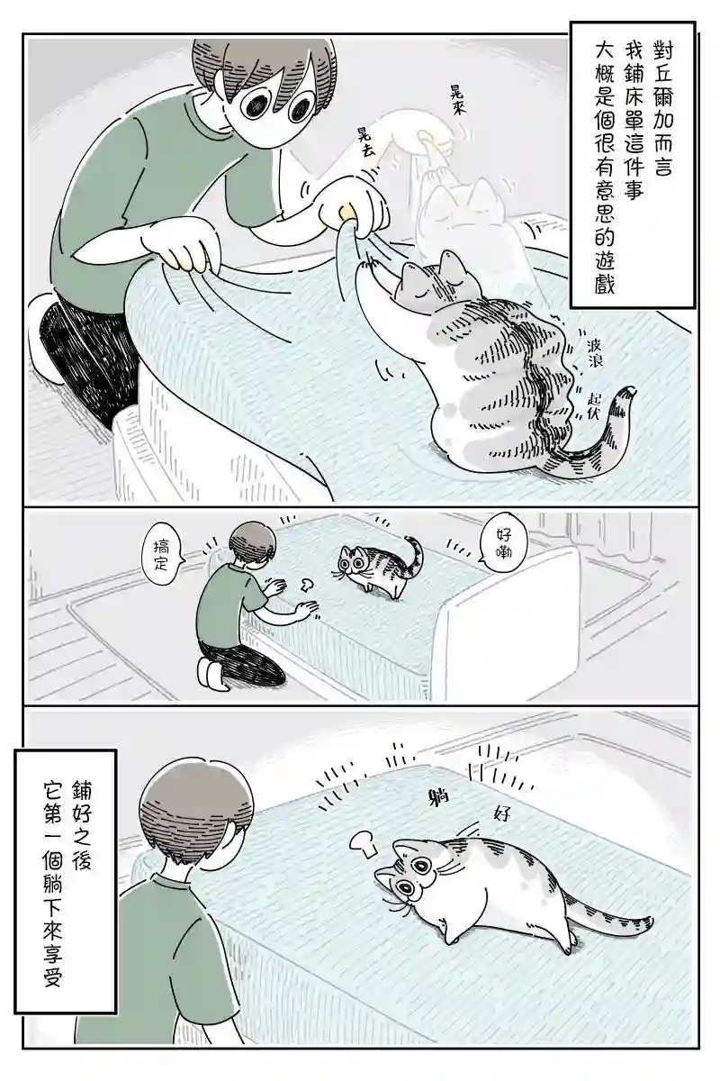 关于养猫我一直是新手第71话