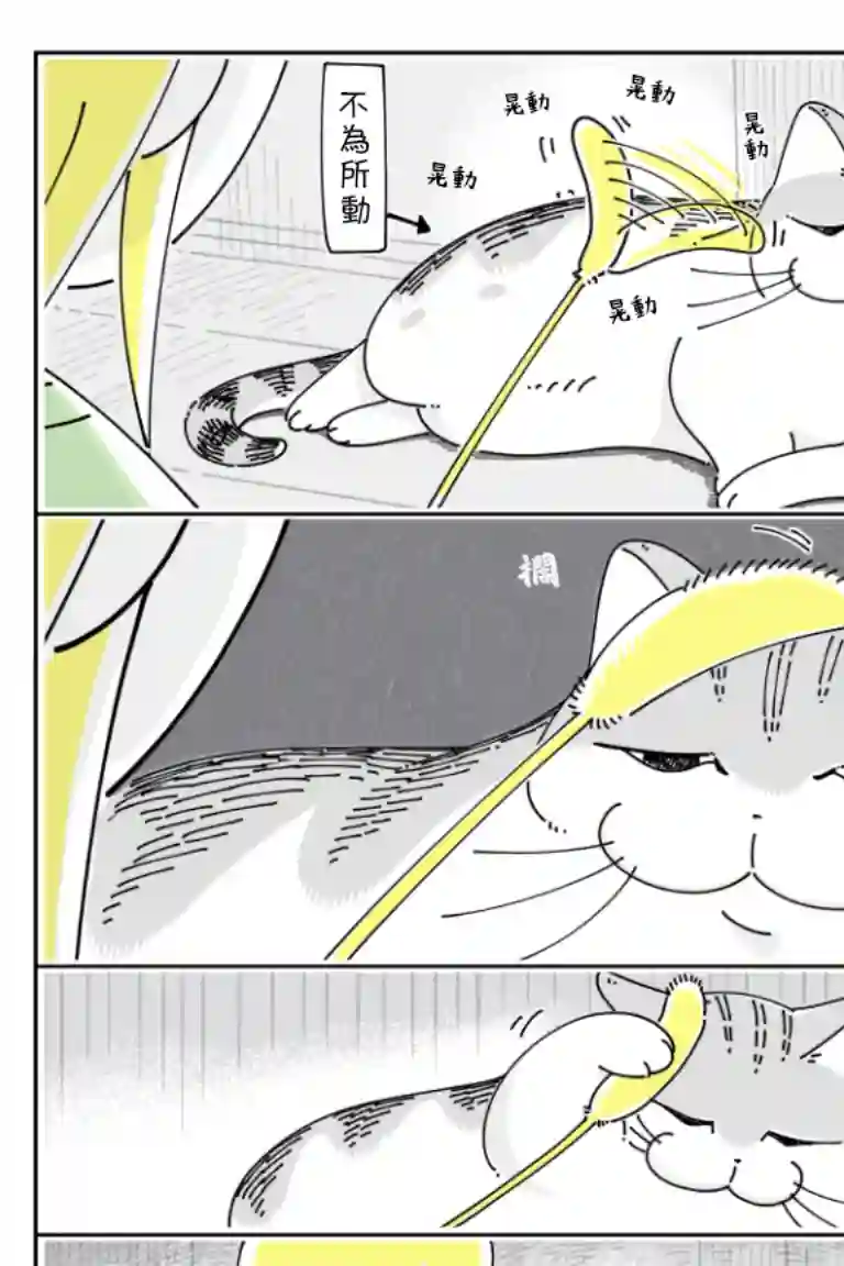 关于养猫我一直是新手第72话