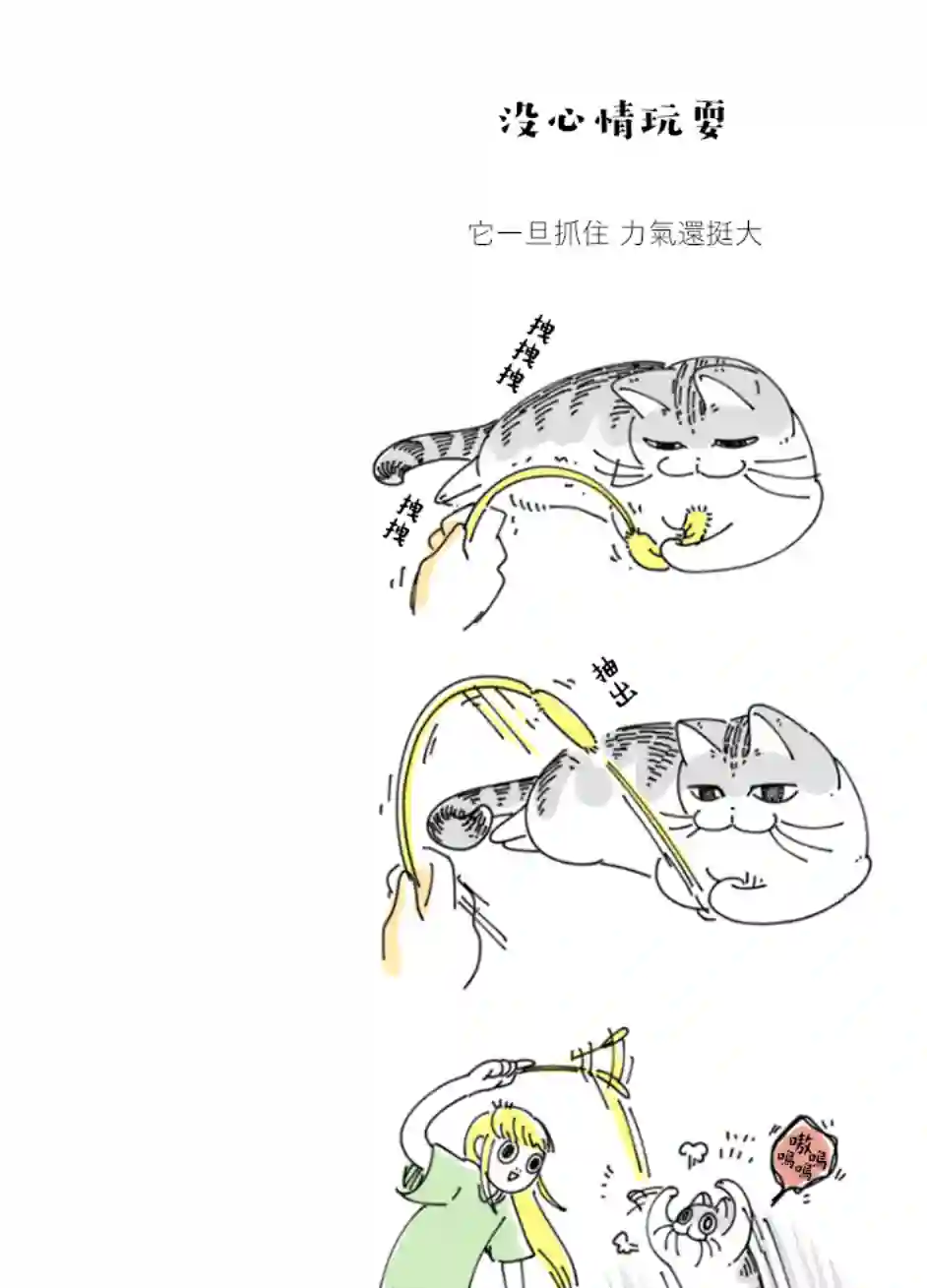 关于养猫我一直是新手第72话