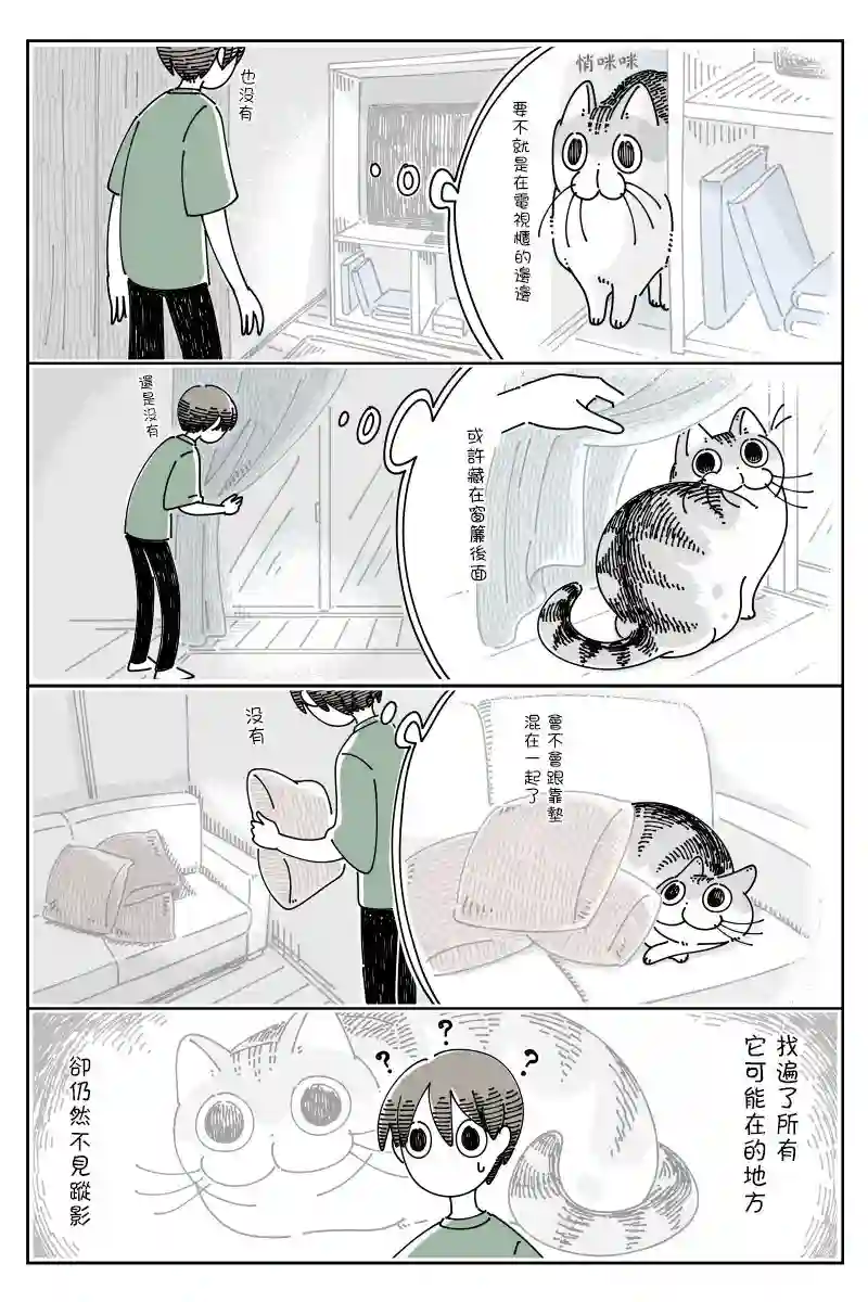 关于养猫我一直是新手第73话