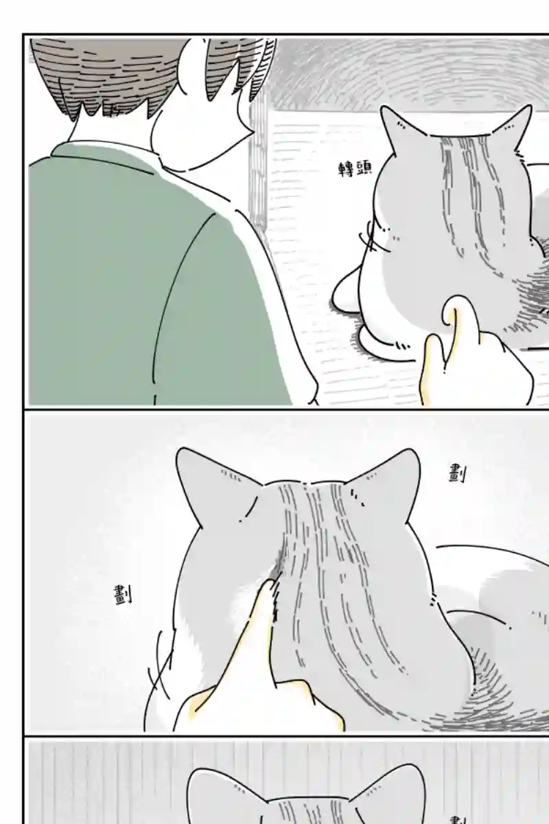 关于养猫我一直是新手第74话