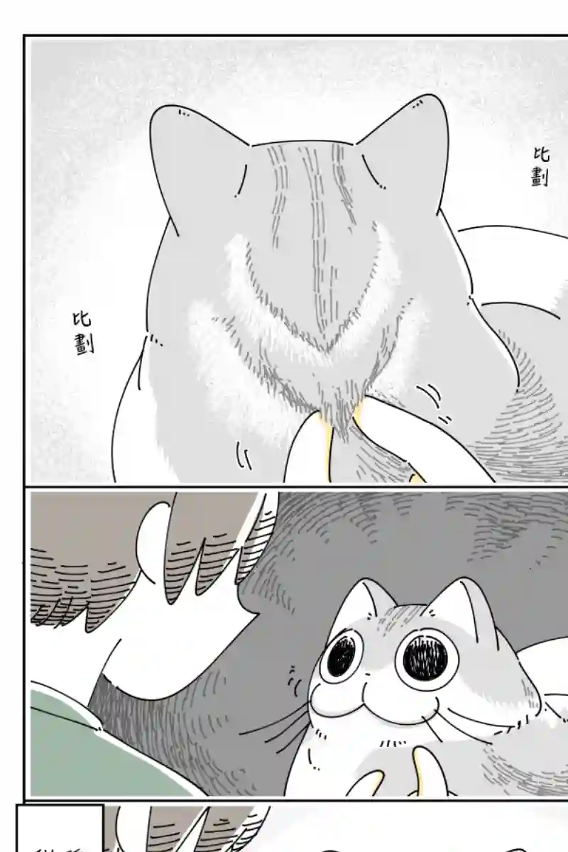 关于养猫我一直是新手第74话
