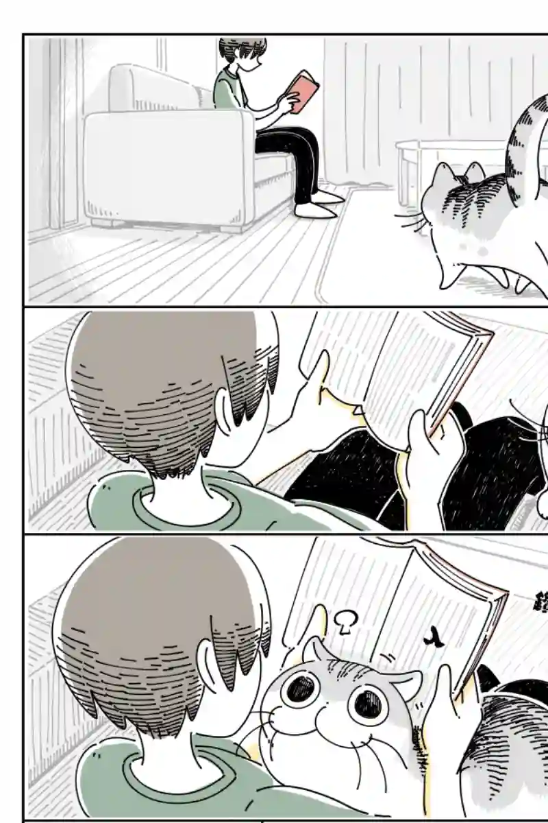 关于养猫我一直是新手第75话