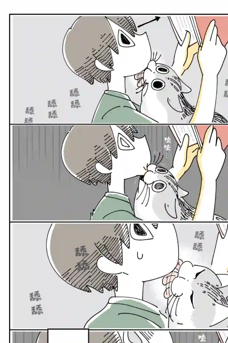 关于养猫我一直是新手第75话