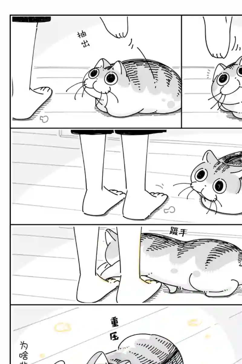 关于养猫我一直是新手第76话