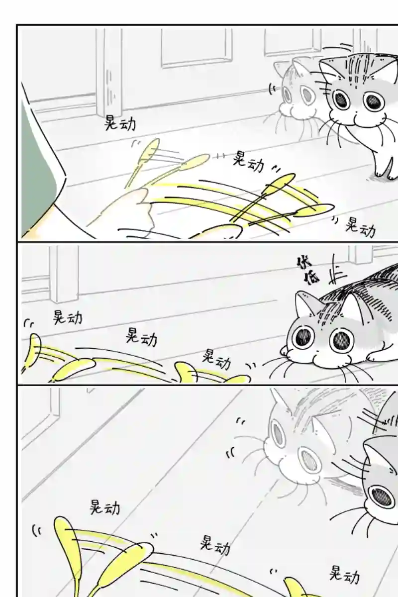 关于养猫我一直是新手第77话