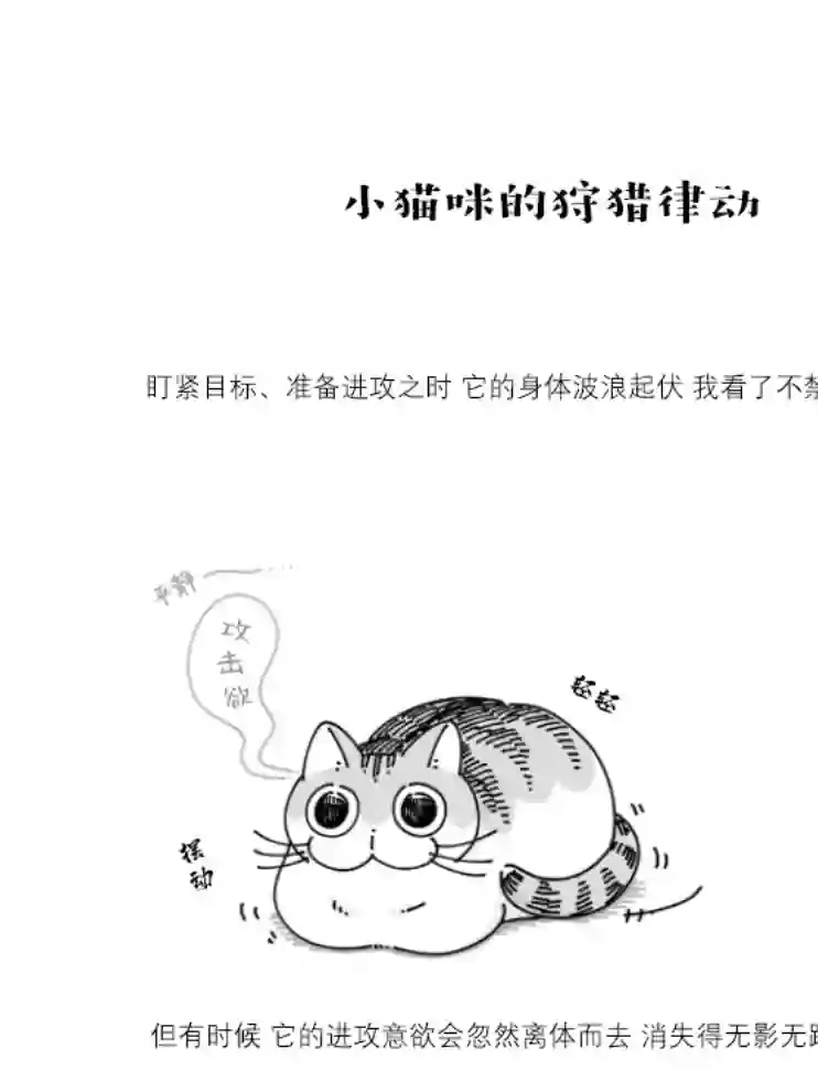 关于养猫我一直是新手第77话