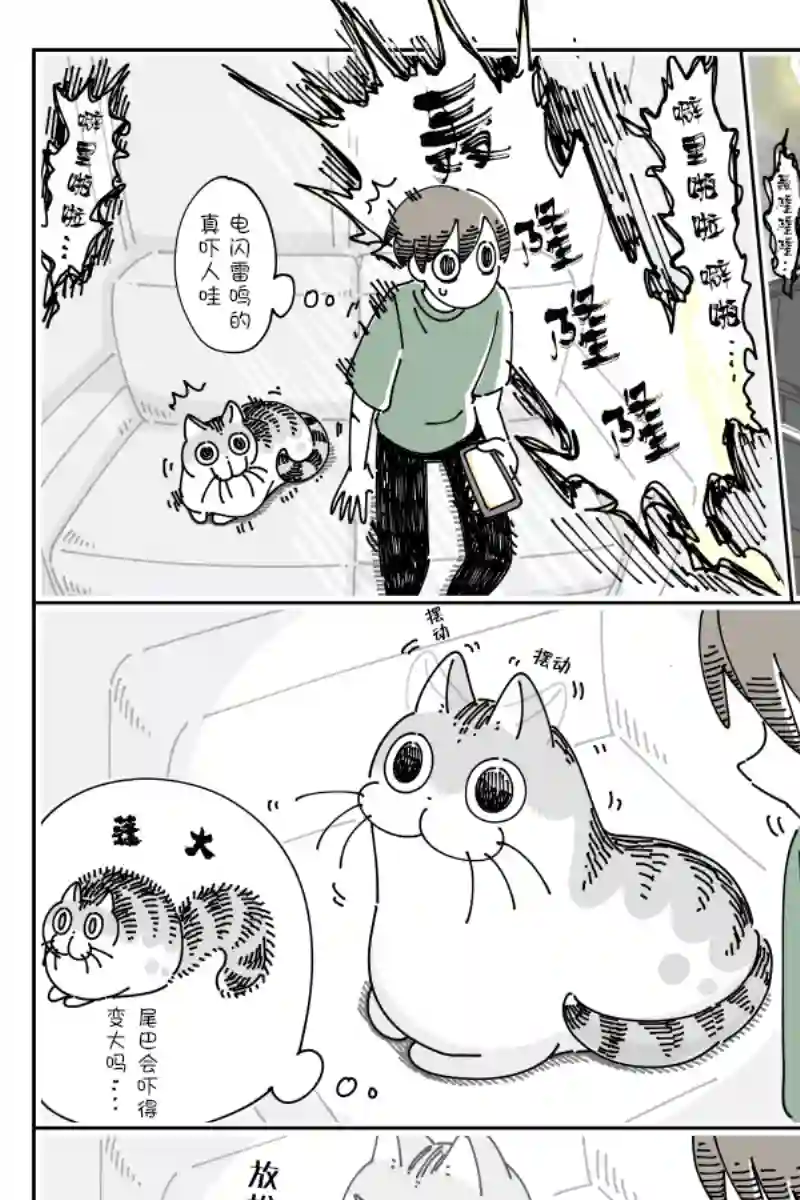 关于养猫我一直是新手第78话