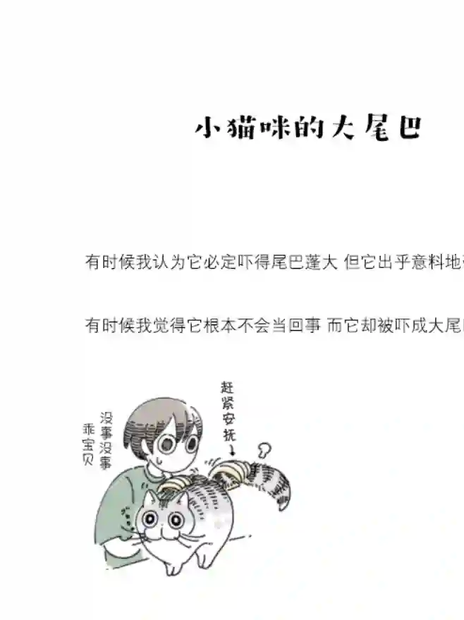 关于养猫我一直是新手第78话