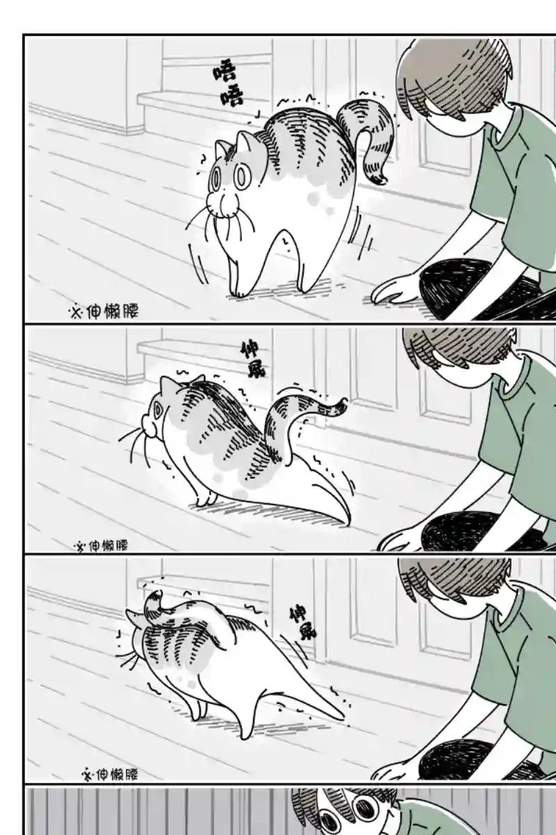 关于养猫我一直是新手第79话