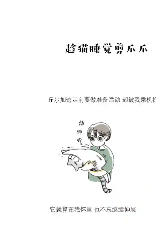 关于养猫我一直是新手第79话