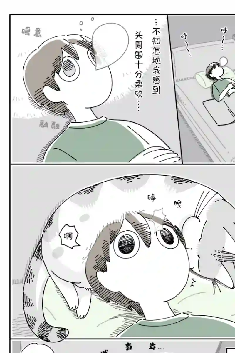 关于养猫我一直是新手第80话