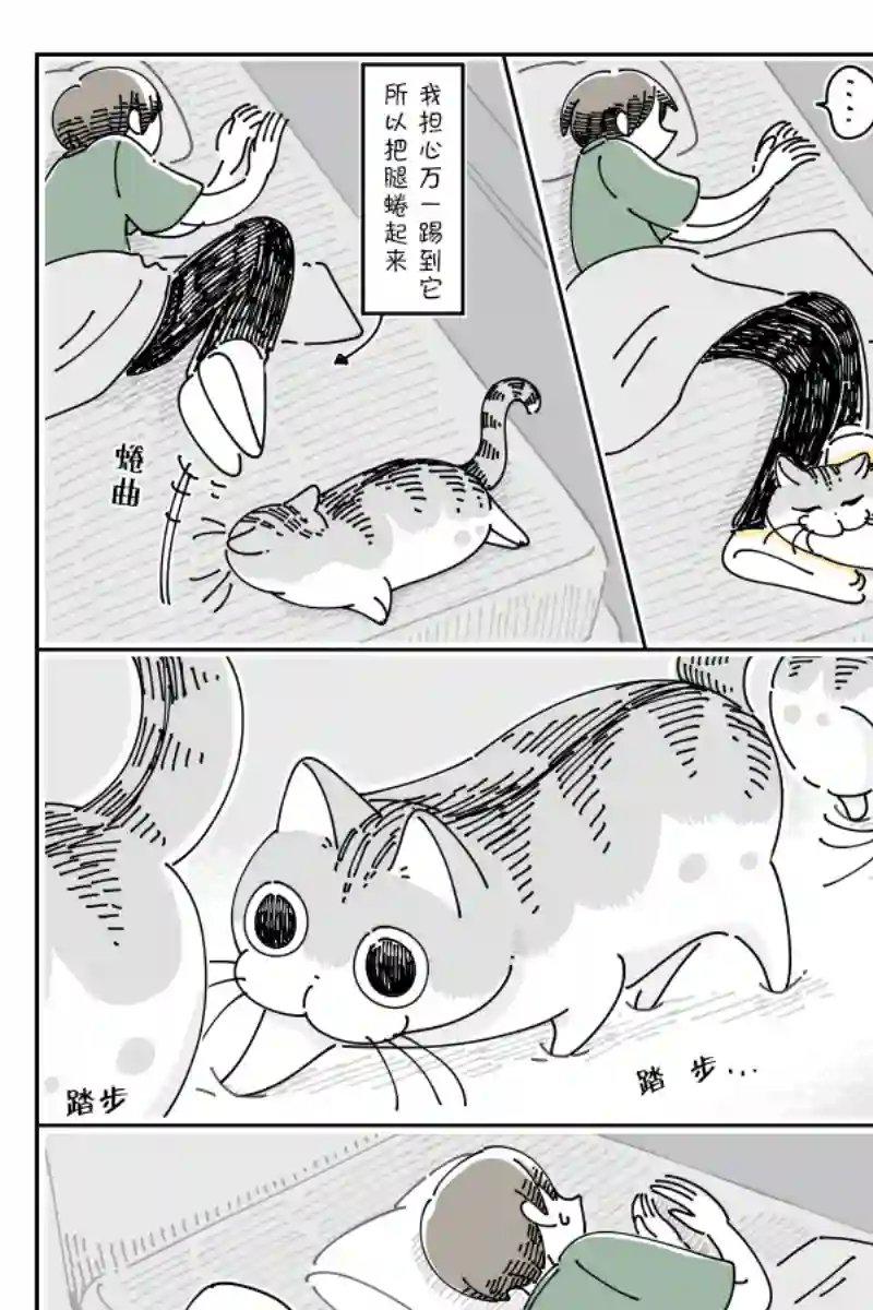 关于养猫我一直是新手第80话