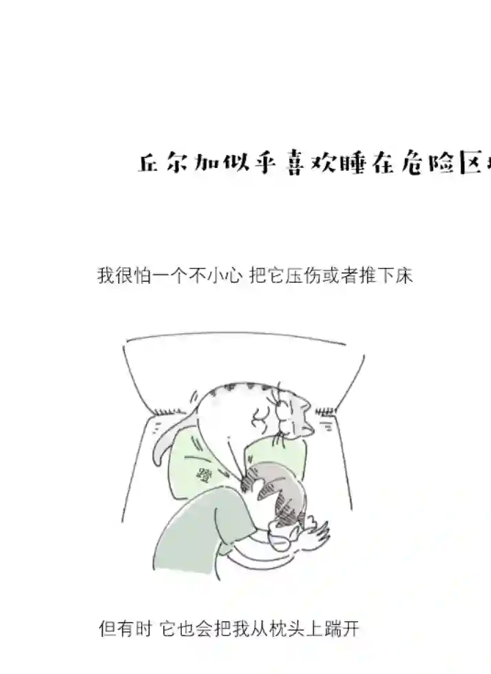 关于养猫我一直是新手第80话