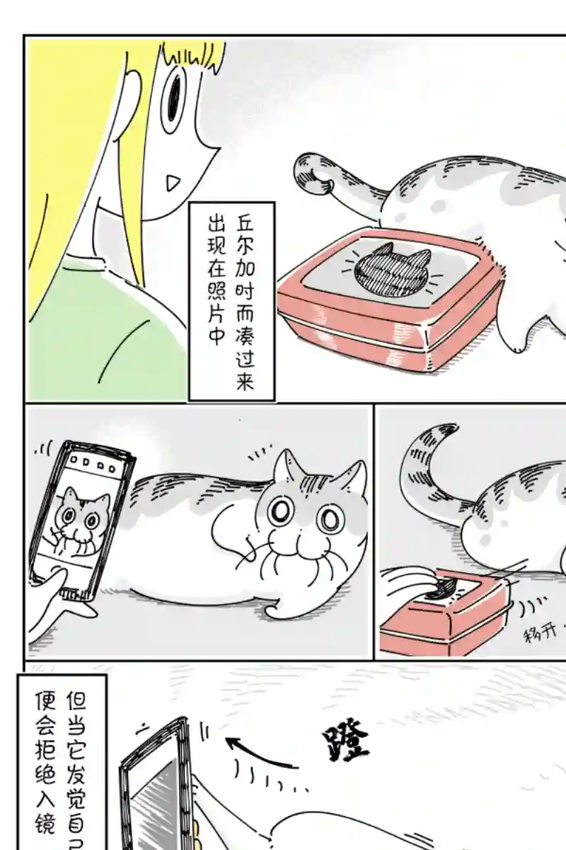 关于养猫我一直是新手第81话