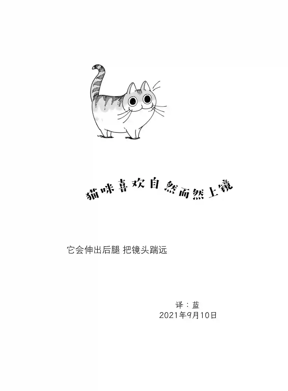 关于养猫我一直是新手第81话