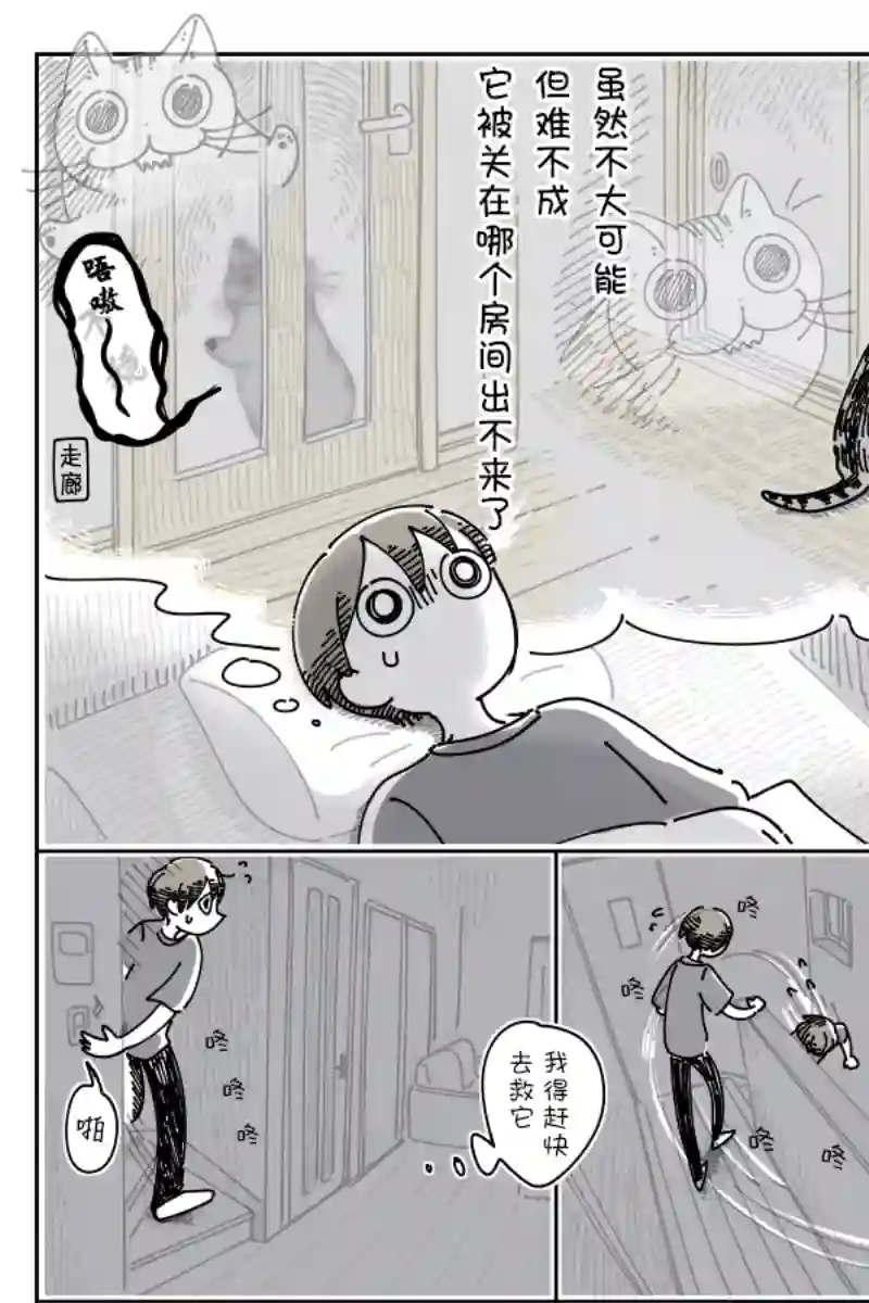 关于养猫我一直是新手第83话