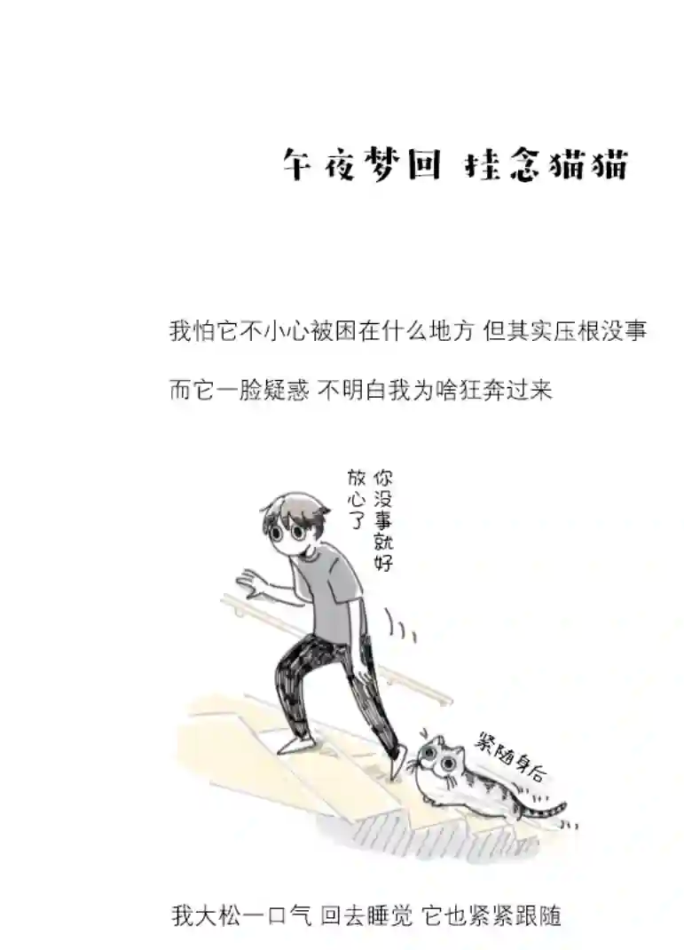 关于养猫我一直是新手第83话