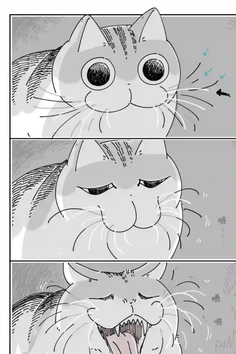 关于养猫我一直是新手第84话